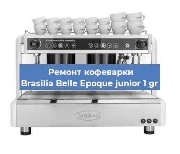 Чистка кофемашины Brasilia Belle Epoque junior 1 gr от накипи в Челябинске